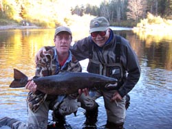 Fred  Goldburg, Olympia  WA,  Cains River Salmon